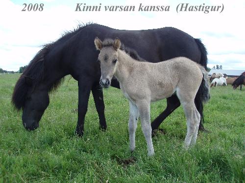 Klikkaamalla seuraava kuva