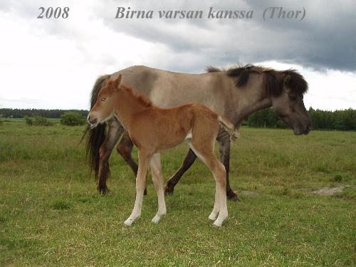 Klikkaamalla seuraava kuva