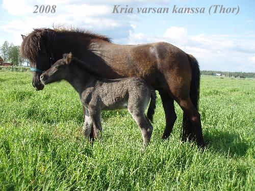 Klikkaamalla seuraava kuva