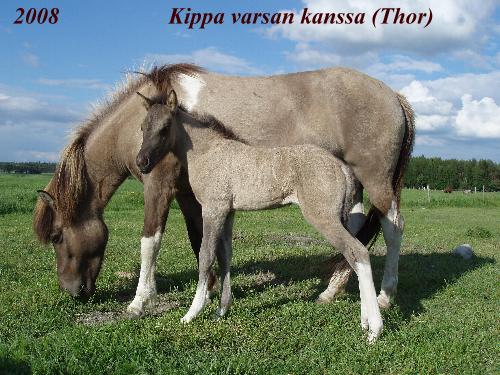 Klikkaamalla seuraava kuva