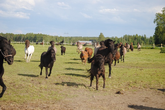 Klikkaamalla seuraava kuva