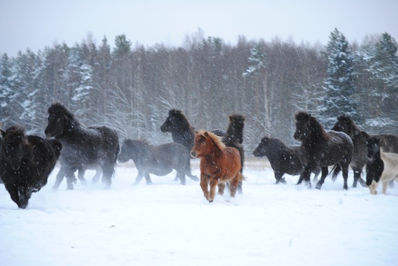 Klikkaamalla seuraava kuva