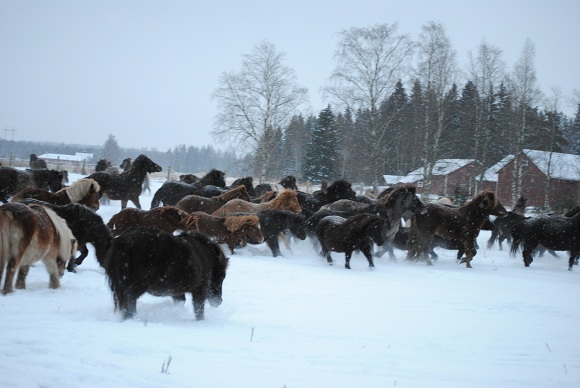 Klikkaamalla seuraava kuva